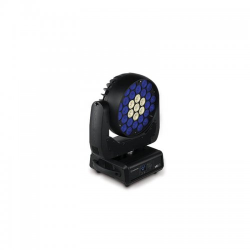 Ayrton Wildsun 500s