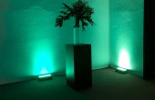 Plinth