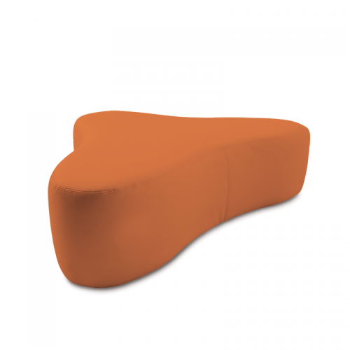 Chat Orange
