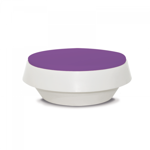 Gió Purple