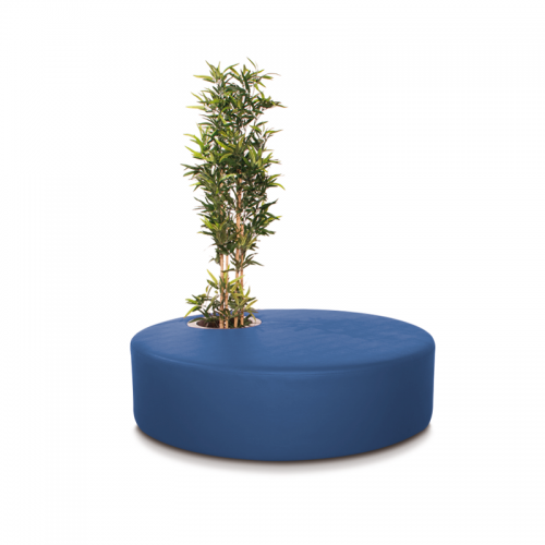 Poppy Plant Blue