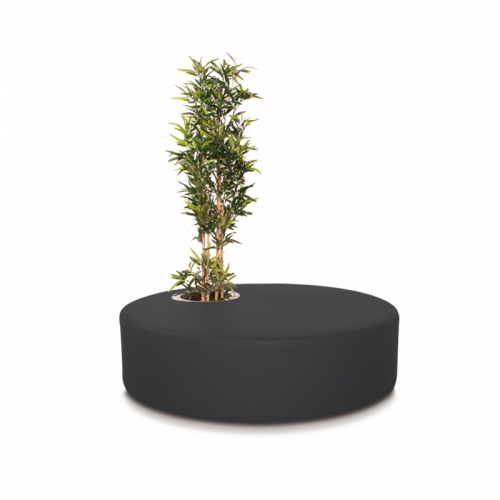 Poppy Plant Black